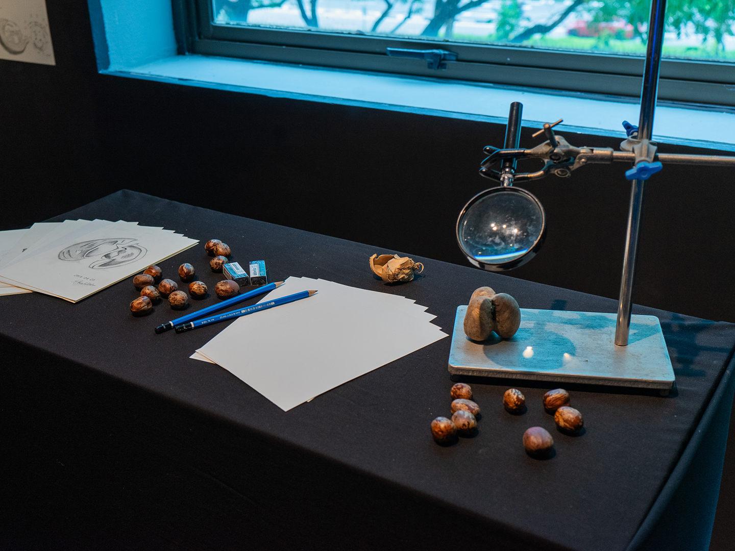 Panel Discussion. Experience and Experimentation: Curiosity and Knowledge Creation in Art and Science