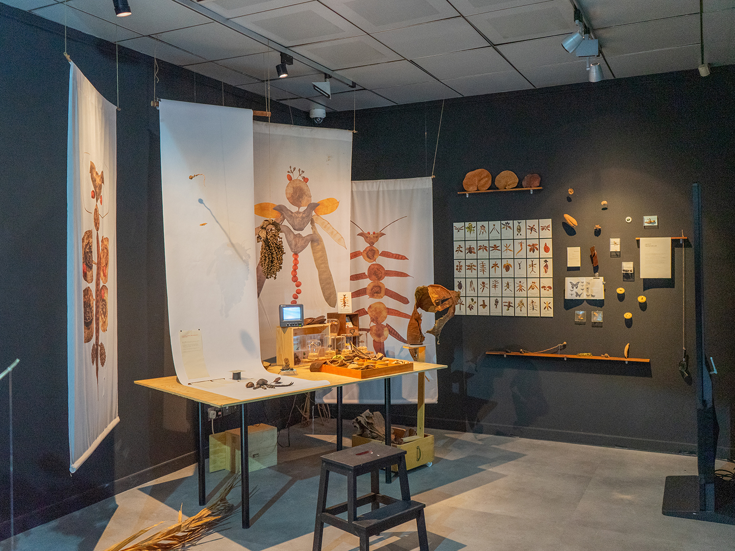 Isabelle Desjeux and Quek See Yee, Insect Inventorium, 2024, exhibition view