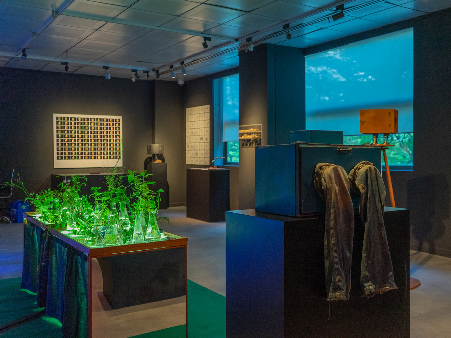 Ceci n’est pas une exposition: an experiment by Isabelle Desjeux