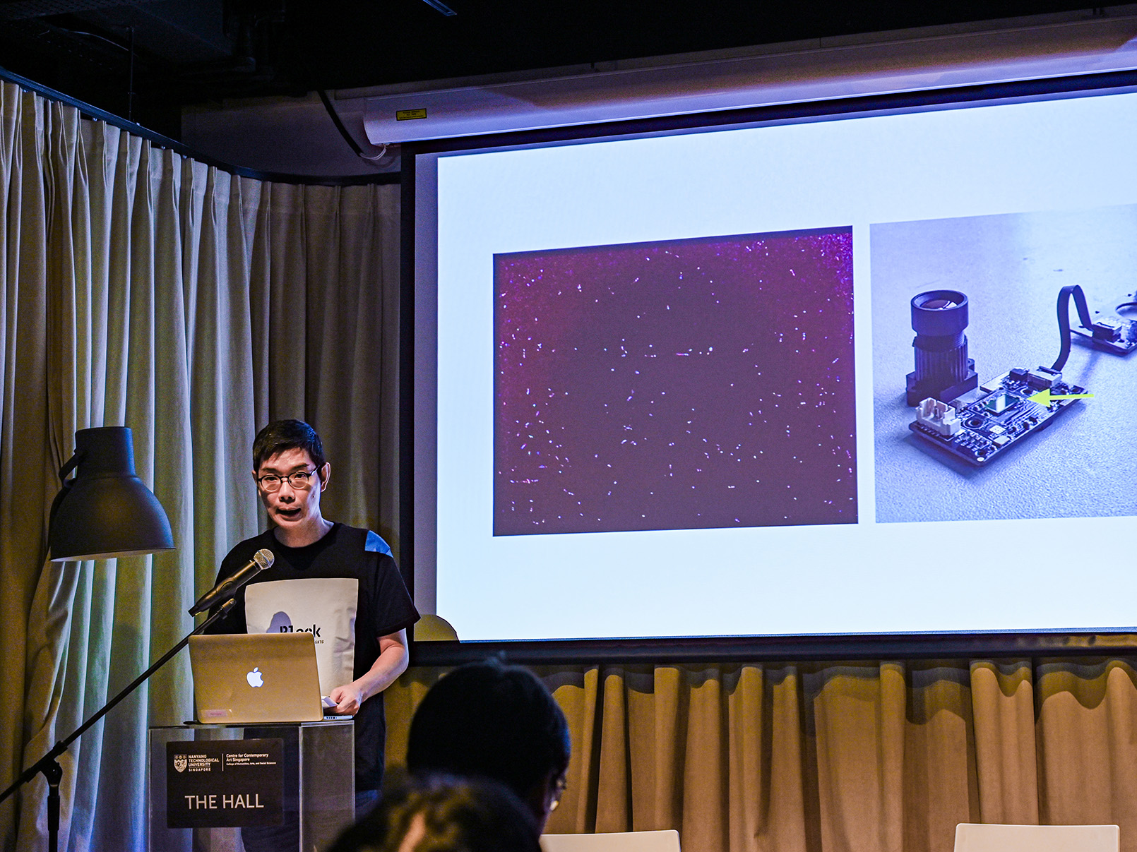 an artist giving a lecture