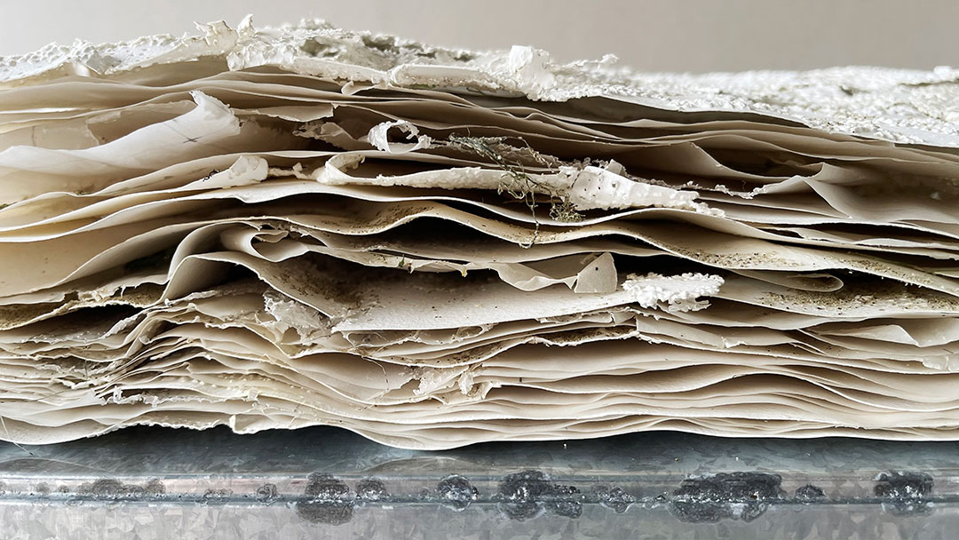 Wong Zihao, Letters to Decay