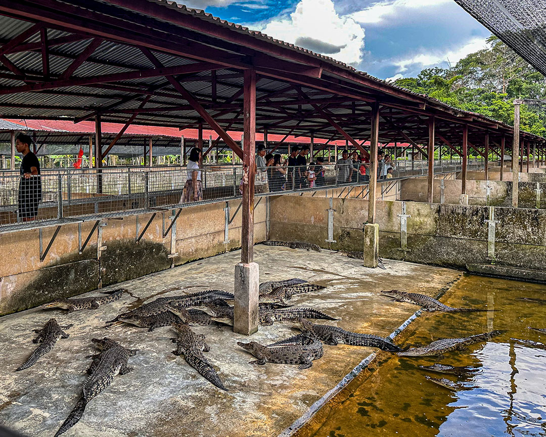 DESIGN EARTH Workshop: Elephant in the Room and Other Creatures, 13 - 19 June 2025. Photo by Eunice Lacaste. Courtesy NTU Centre for Contemporary Art Singapore