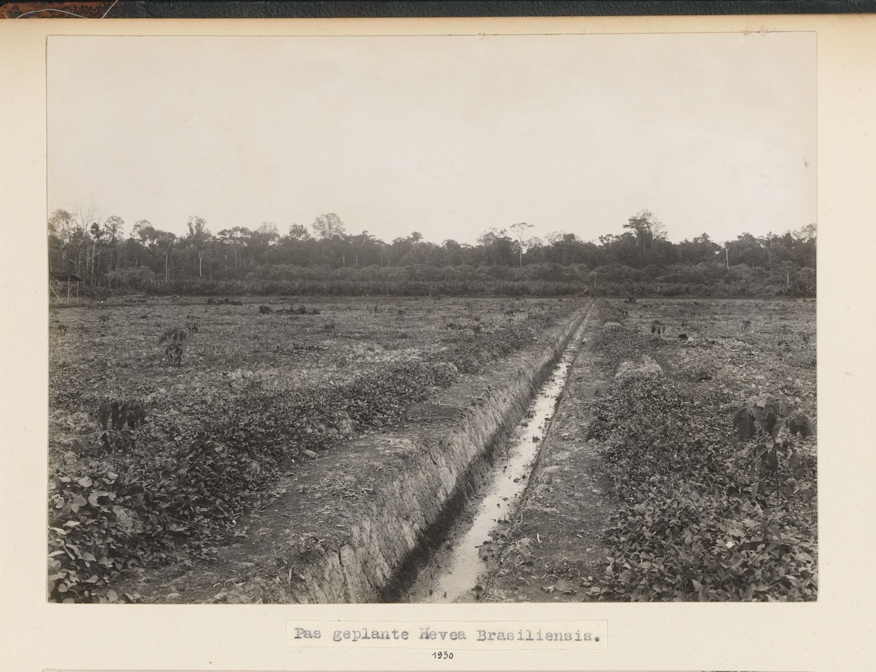 Priyageetha Dia, Sap Sonic (2023), screenshot from four-channel sound installation, 14 minutes, Passages, 28 November 2023–28 January 2024, NTU Centre for Contemporary Art Singapore. Courtesy the artist and NTU CCA Singapore.